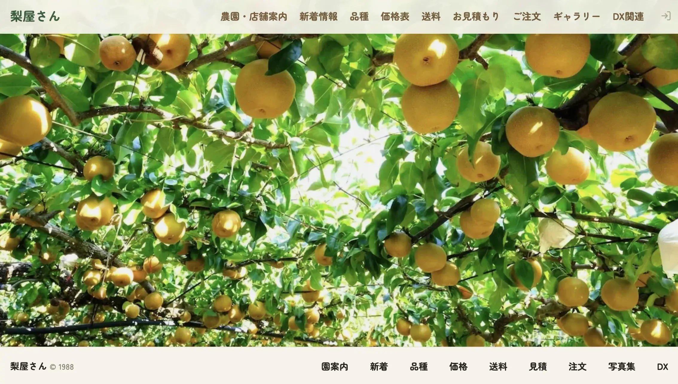 梨屋さん公式ウェブサイトのトップページ